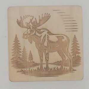 Moose Engraved Coaster