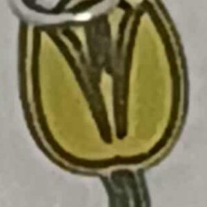 Yellow Tulip Charm