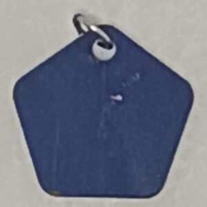 Blue Pentagon Charm